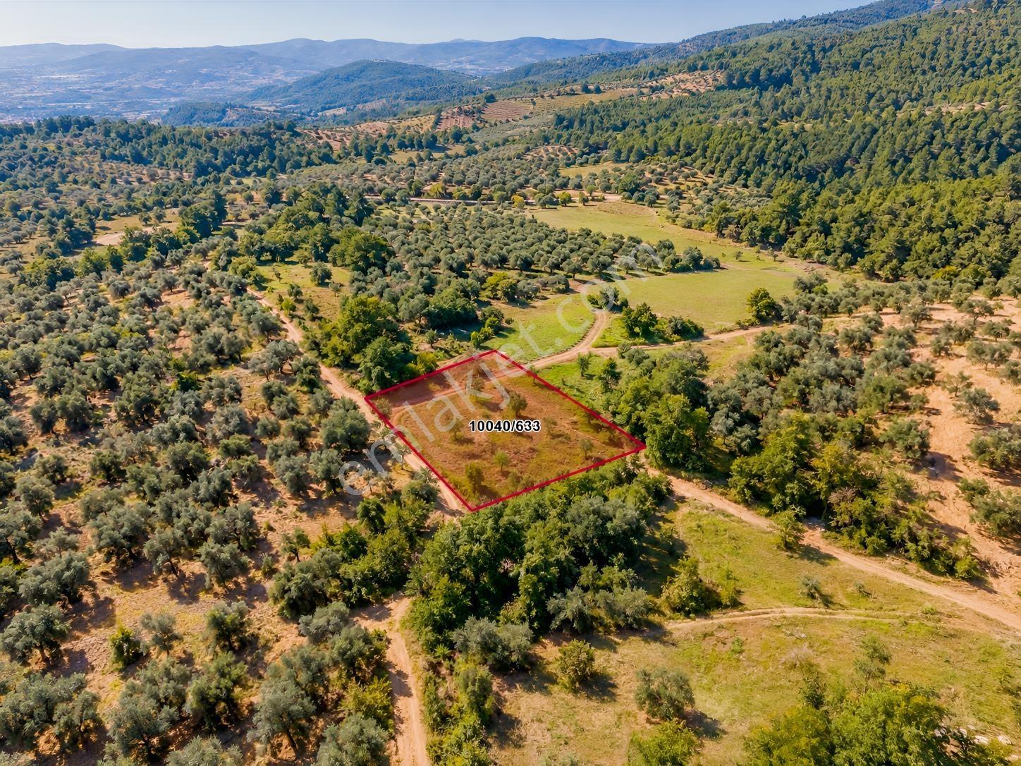 Dürdane Köyüne 750 Mt | Ana Yola 1,5 Km - 968 M² Satılık Tarla