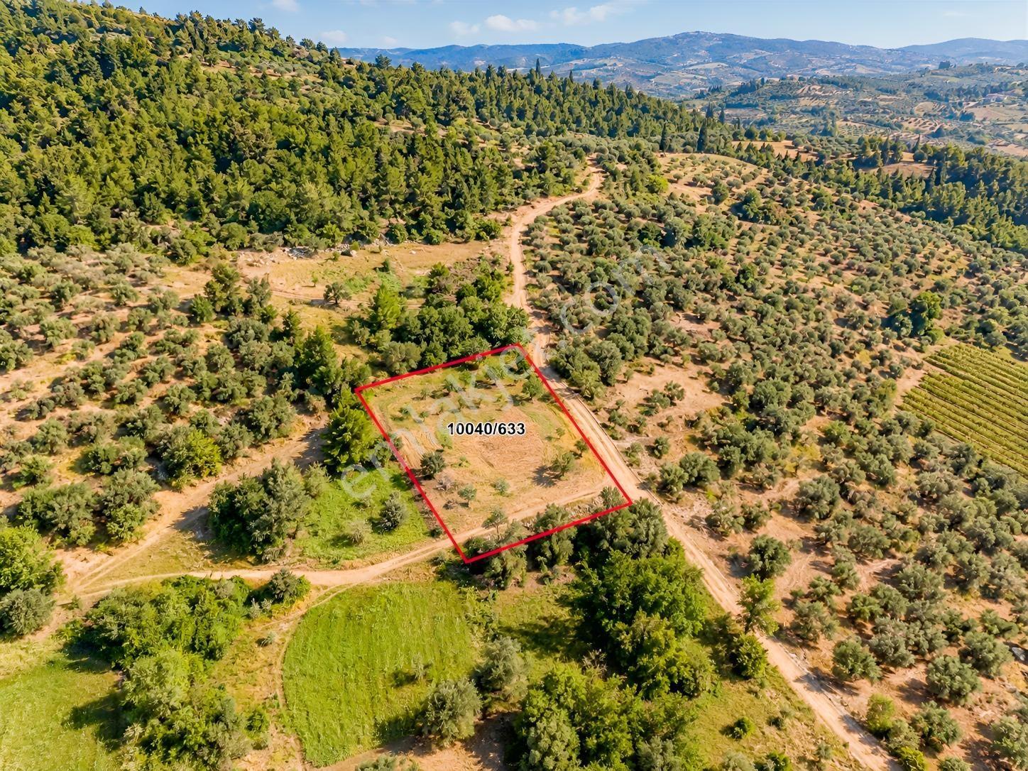 Dürdane Köyüne 750 Mt | Ana Yola 1,5 Km - 968 M² Satılık Tarla — fotoğraf 2