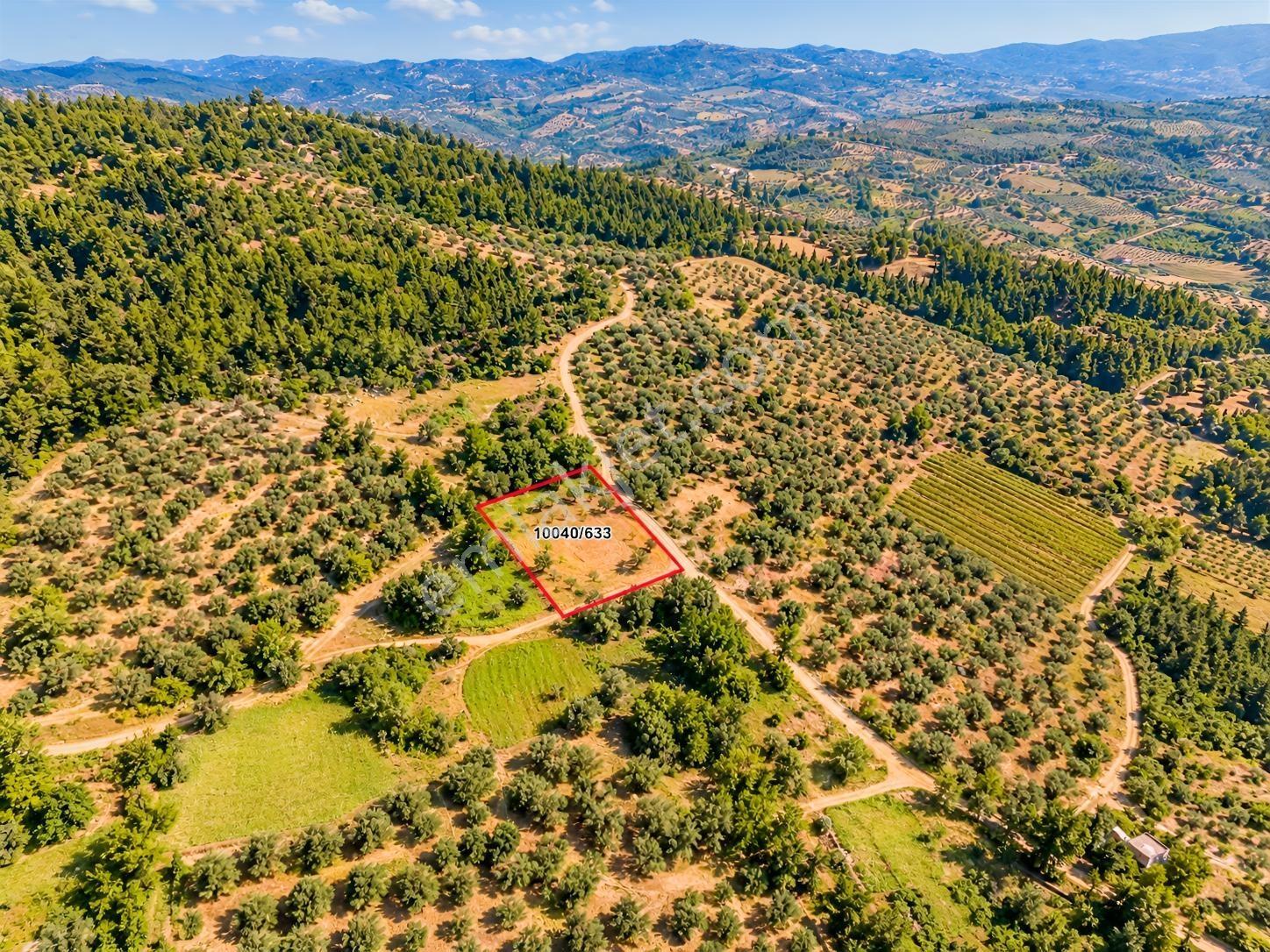 Dürdane Köyüne 750 Mt | Ana Yola 1,5 Km - 968 M² Satılık Tarla — fotoğraf 3