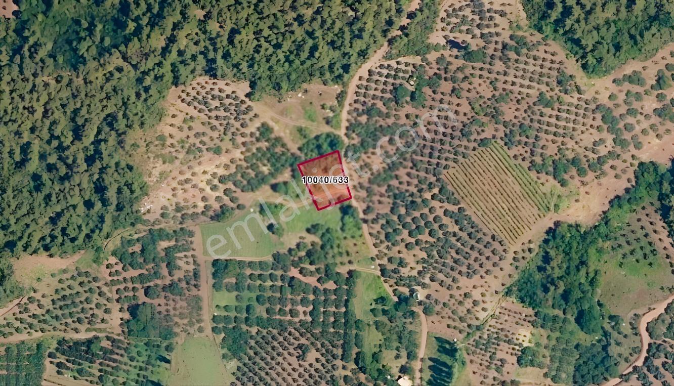 Dürdane Köyüne 750 Mt | Ana Yola 1,5 Km - 968 M² Satılık Tarla — fotoğraf 4