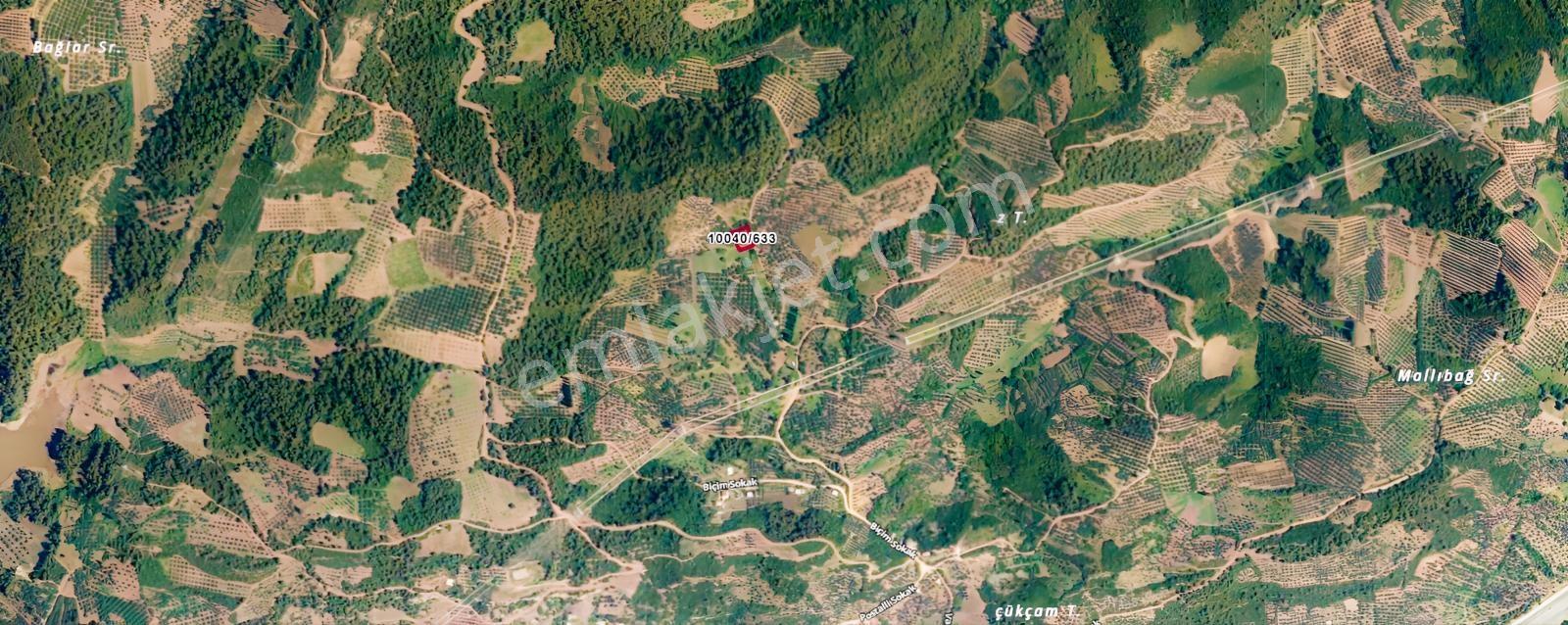 Dürdane Köyüne 750 Mt | Ana Yola 1,5 Km - 968 M² Satılık Tarla — fotoğraf 5
