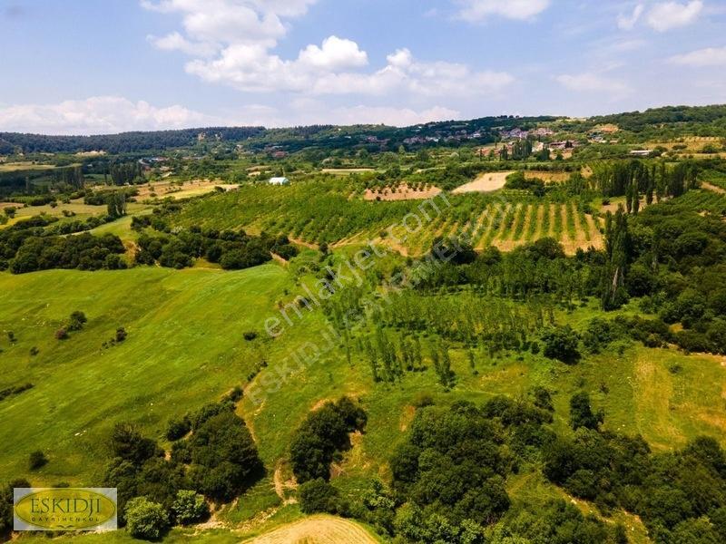 Çanakkale Lapseki'de 73.546 M² Ceviz Bahçesi Ve Üretim Tesisi — fotoğraf 2