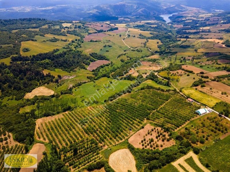 Çanakkale Lapseki'de 73.546 M² Ceviz Bahçesi Ve Üretim Tesisi — fotoğraf 3