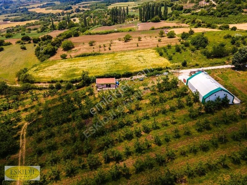Çanakkale Lapseki'de 73.546 M² Ceviz Bahçesi Ve Üretim Tesisi — fotoğraf 4