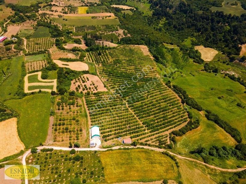 Çanakkale Lapseki'de 73.546 M² Ceviz Bahçesi Ve Üretim Tesisi — fotoğraf 5