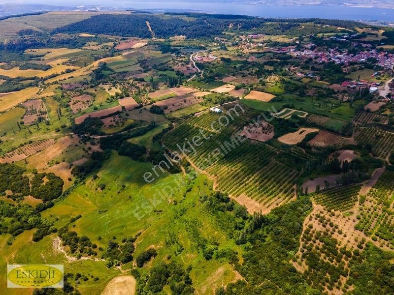 Çanakkale Lapseki'de 73.546 M² Ceviz Bahçesi Ve Üretim Tesisi — fotoğraf 6