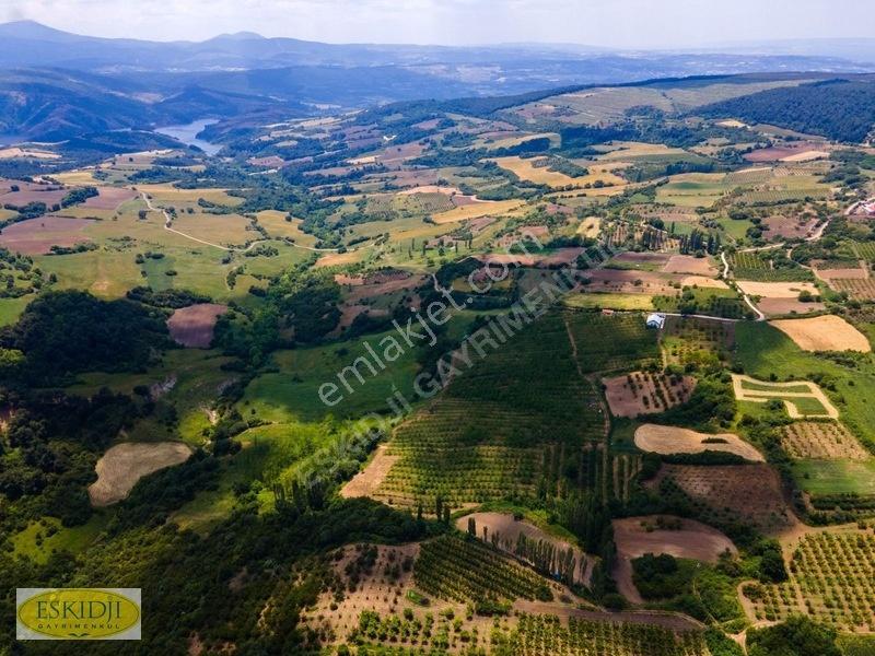 Çanakkale Lapseki'de 73.546 M² Ceviz Bahçesi Ve Üretim Tesisi — fotoğraf 7