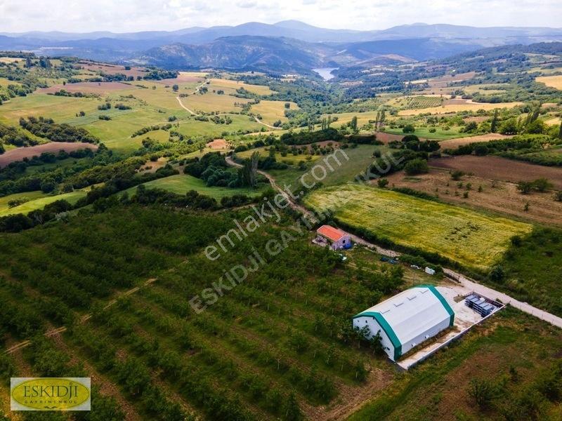 Çanakkale Lapseki'de 73.546 M² Ceviz Bahçesi Ve Üretim Tesisi — fotoğraf 8