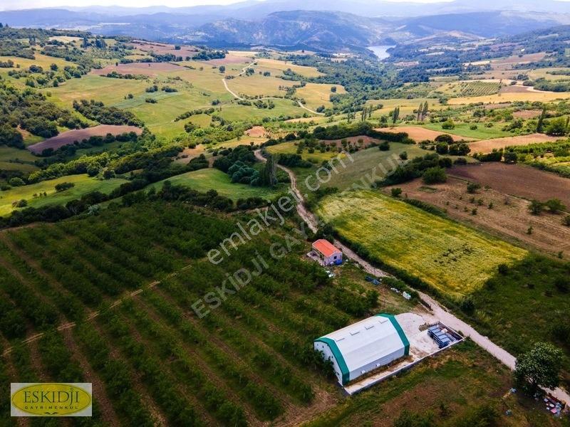 Çanakkale Lapseki'de 73.546 M² Ceviz Bahçesi Ve Üretim Tesisi — fotoğraf 9