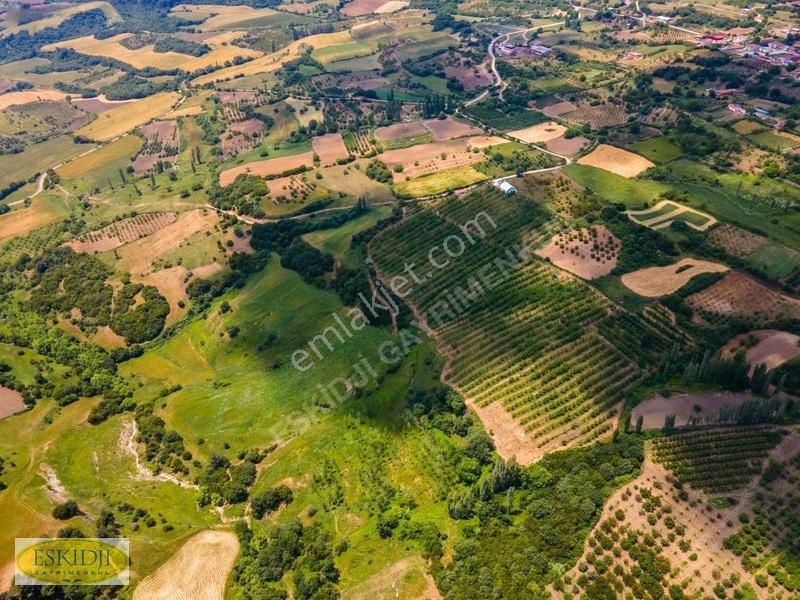 Çanakkale Lapseki'de 73.546 M² Ceviz Bahçesi Ve Üretim Tesisi — fotoğraf 10