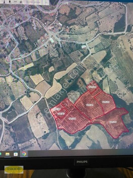 Çanakkale Lapseki'de 73.546 M² Ceviz Bahçesi Ve Üretim Tesisi — fotoğraf 11