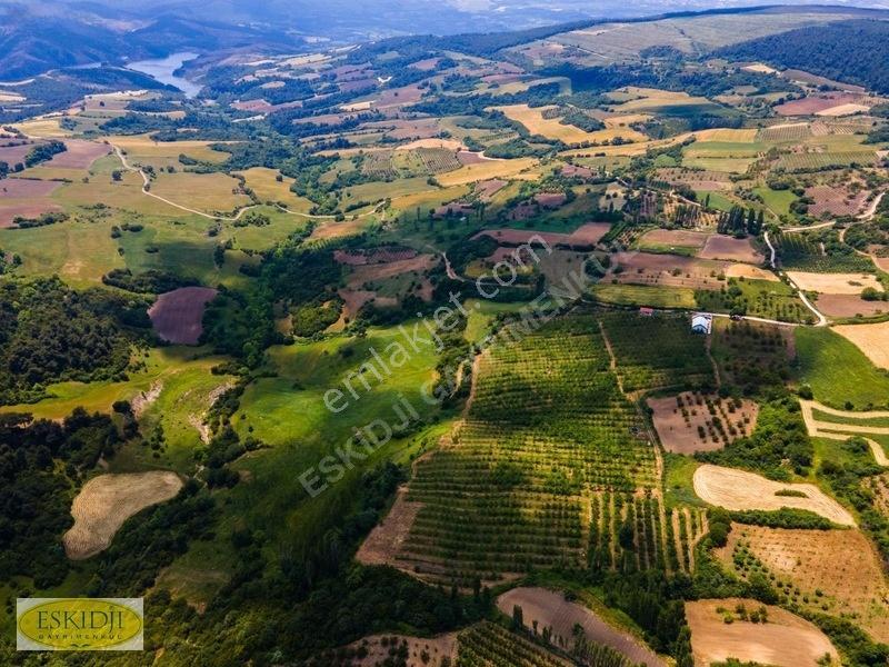 Çanakkale Lapseki'de 73.546 M² Ceviz Bahçesi Ve Üretim Tesisi — fotoğraf 12