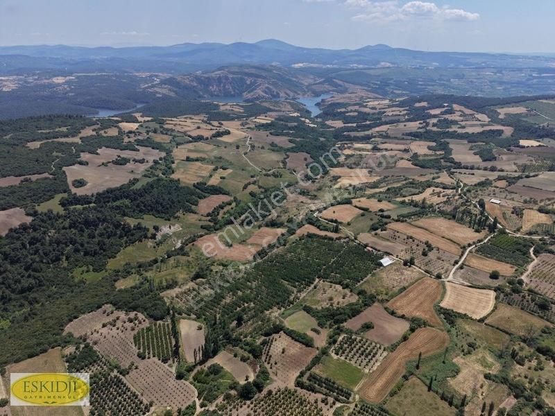 Çanakkale Lapseki'de 73.546 M² Ceviz Bahçesi Ve Üretim Tesisi — fotoğraf 13