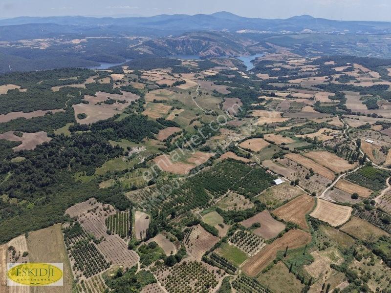 Çanakkale Lapseki'de 73.546 M² Ceviz Bahçesi Ve Üretim Tesisi — fotoğraf 14