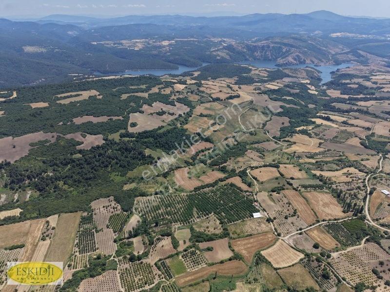 Çanakkale Lapseki'de 73.546 M² Ceviz Bahçesi Ve Üretim Tesisi — fotoğraf 15