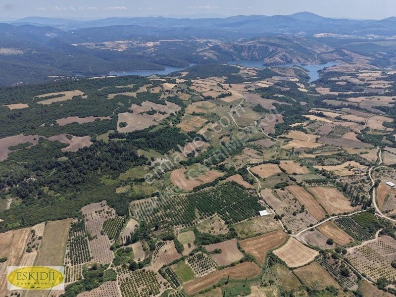 Çanakkale Lapseki'de 73.546 M² Ceviz Bahçesi Ve Üretim Tesisi — fotoğraf 16