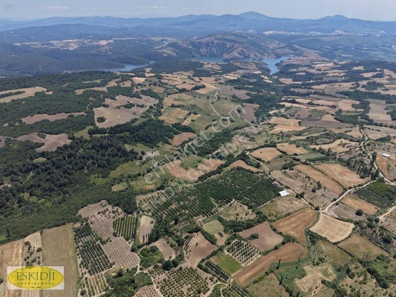 Çanakkale Lapseki'de 73.546 M² Ceviz Bahçesi Ve Üretim Tesisi — fotoğraf 17