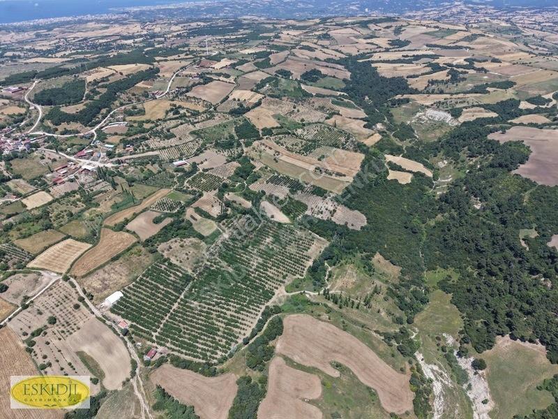 Çanakkale Lapseki'de 73.546 M² Ceviz Bahçesi Ve Üretim Tesisi — fotoğraf 18