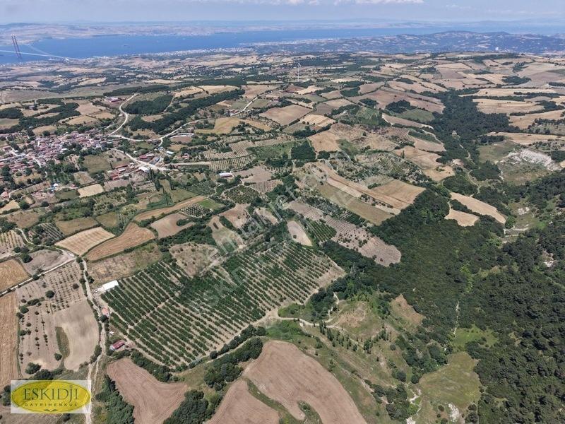 Çanakkale Lapseki'de 73.546 M² Ceviz Bahçesi Ve Üretim Tesisi — fotoğraf 19