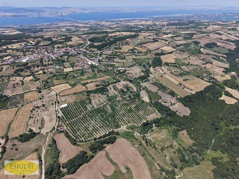 Çanakkale Lapseki'de 73.546 M² Ceviz Bahçesi Ve Üretim Tesisi — fotoğraf 20