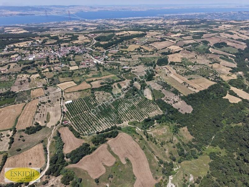 Çanakkale Lapseki'de 73.546 M² Ceviz Bahçesi Ve Üretim Tesisi — fotoğraf 21