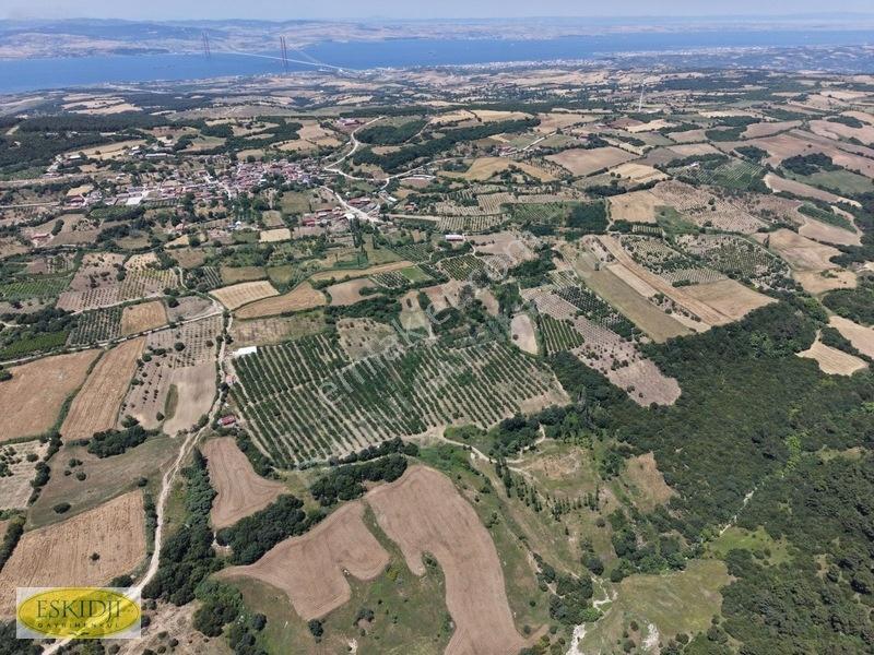 Çanakkale Lapseki'de 73.546 M² Ceviz Bahçesi Ve Üretim Tesisi — fotoğraf 22