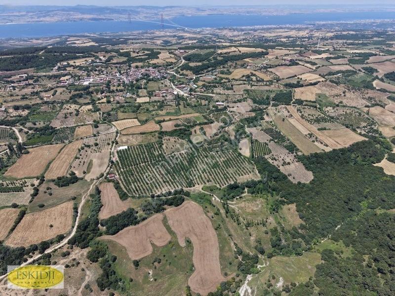 Çanakkale Lapseki'de 73.546 M² Ceviz Bahçesi Ve Üretim Tesisi — fotoğraf 23