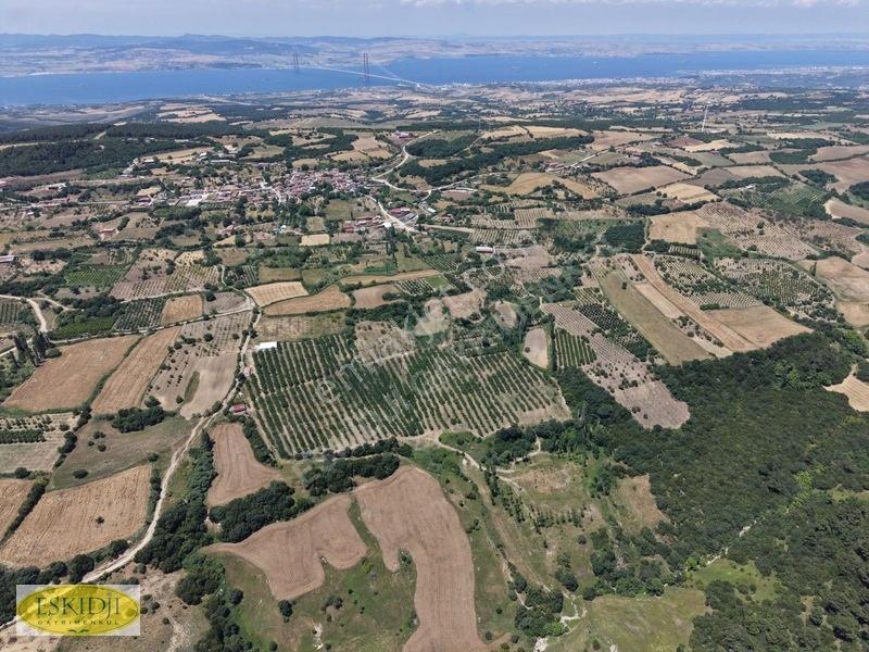 Çanakkale Lapseki'de 73.546 M² Ceviz Bahçesi Ve Üretim Tesisi — fotoğraf 24