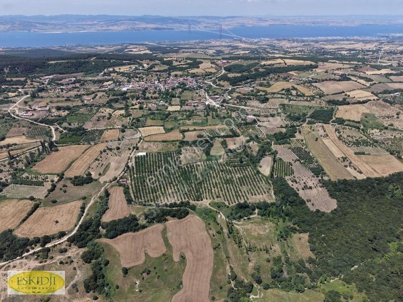 Çanakkale Lapseki'de 73.546 M² Ceviz Bahçesi Ve Üretim Tesisi — fotoğraf 25