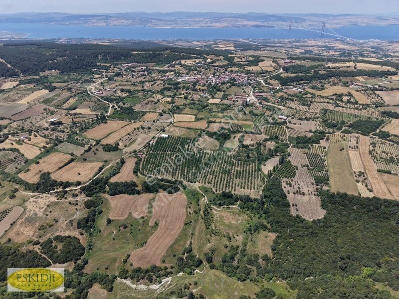 Çanakkale Lapseki'de 73.546 M² Ceviz Bahçesi Ve Üretim Tesisi — fotoğraf 27