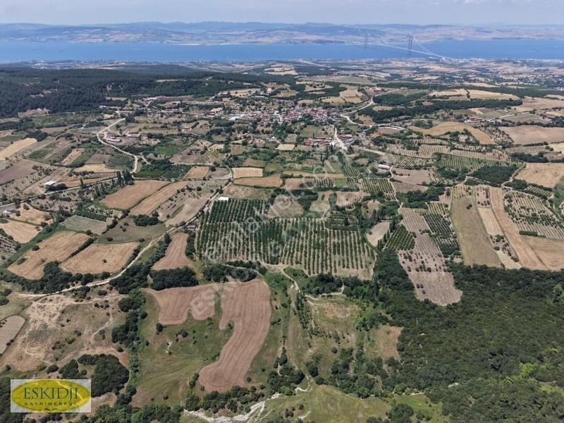 Çanakkale Lapseki'de 73.546 M² Ceviz Bahçesi Ve Üretim Tesisi — fotoğraf 28