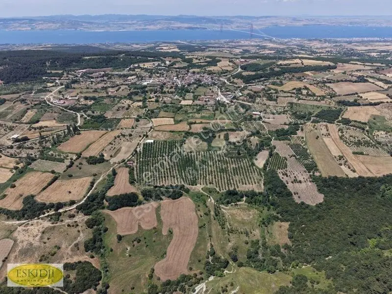 Çanakkale Lapseki'de 73.546 M² Ceviz Bahçesi Ve Üretim Tesisi — fotoğraf 29