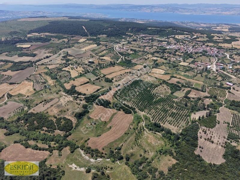 Çanakkale Lapseki'de 73.546 M² Ceviz Bahçesi Ve Üretim Tesisi — fotoğraf 31