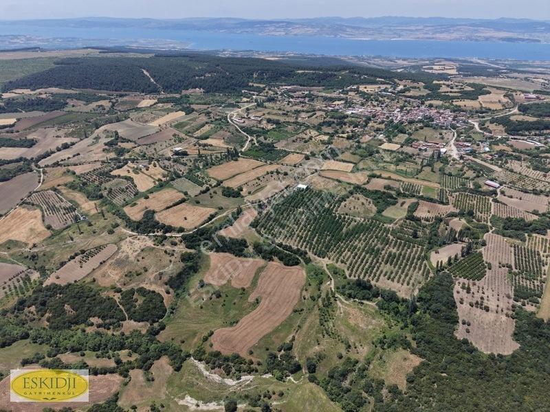 Çanakkale Lapseki'de 73.546 M² Ceviz Bahçesi Ve Üretim Tesisi — fotoğraf 32