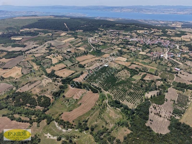 Çanakkale Lapseki'de 73.546 M² Ceviz Bahçesi Ve Üretim Tesisi — fotoğraf 33