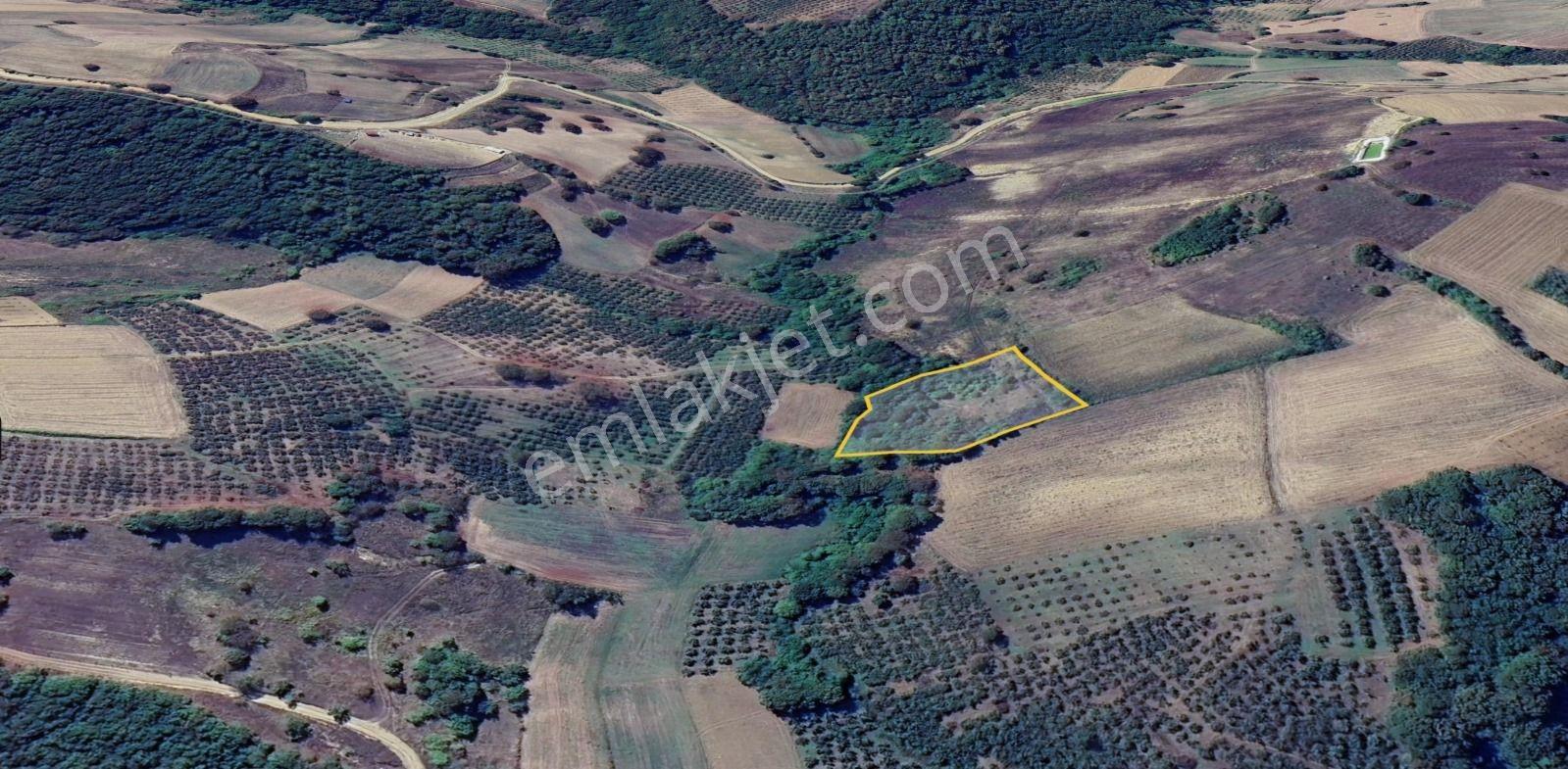 Kandırada Kadastrol Yolu Olan 4.370 M² Yatırımlık Arazi Takas — fotoğraf 3