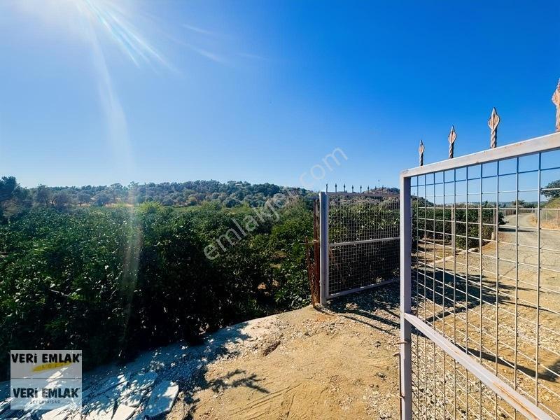 Seferihisar Sığacık Taşdibi Mevkiinde 12.901 M² Mandalinlik — fotoğraf 10