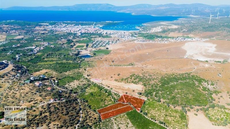 Seferihisar Sığacık Taşdibi Mevkiinde 12.901 M² Mandalinlik — fotoğraf 21