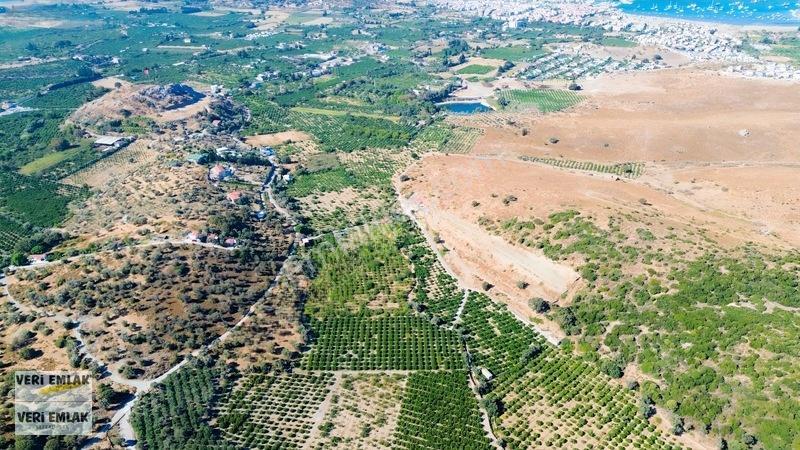 Seferihisar Sığacık Taşdibi Mevkiinde 12.901 M² Mandalinlik — fotoğraf 30