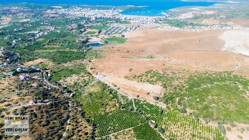 Seferihisar Sığacık Taşdibi Mevkiinde 12.901 M² Mandalinlik — fotoğraf 31