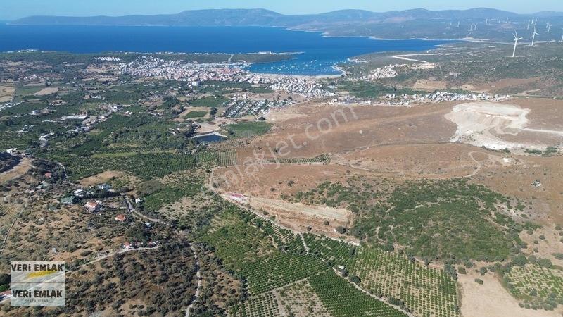 Seferihisar Sığacık Taşdibi Mevkiinde 12.901 M² Mandalinlik — fotoğraf 32