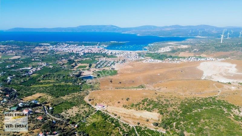 Seferihisar Sığacık Taşdibi Mevkiinde 12.901 M² Mandalinlik — fotoğraf 33