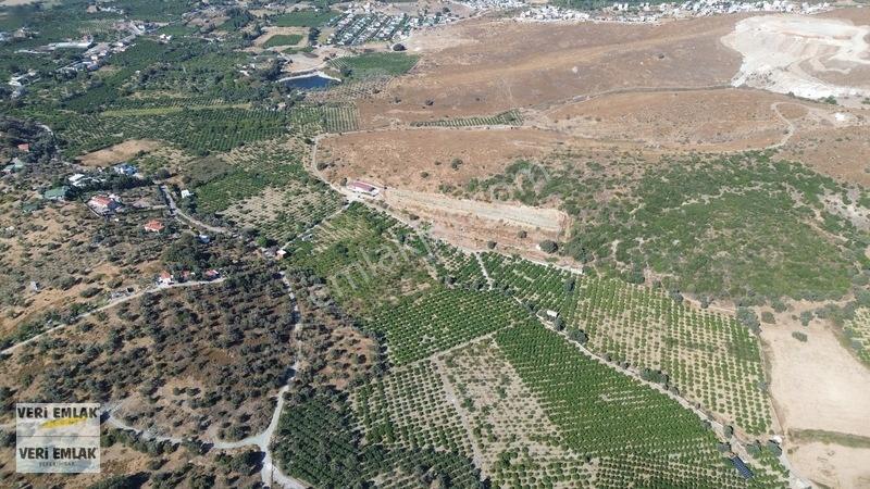 Seferihisar Sığacık Taşdibi Mevkiinde 12.901 M² Mandalinlik — fotoğraf 34