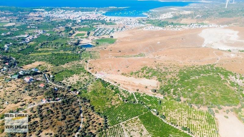 Seferihisar Sığacık Taşdibi Mevkiinde 12.901 M² Mandalinlik — fotoğraf 35