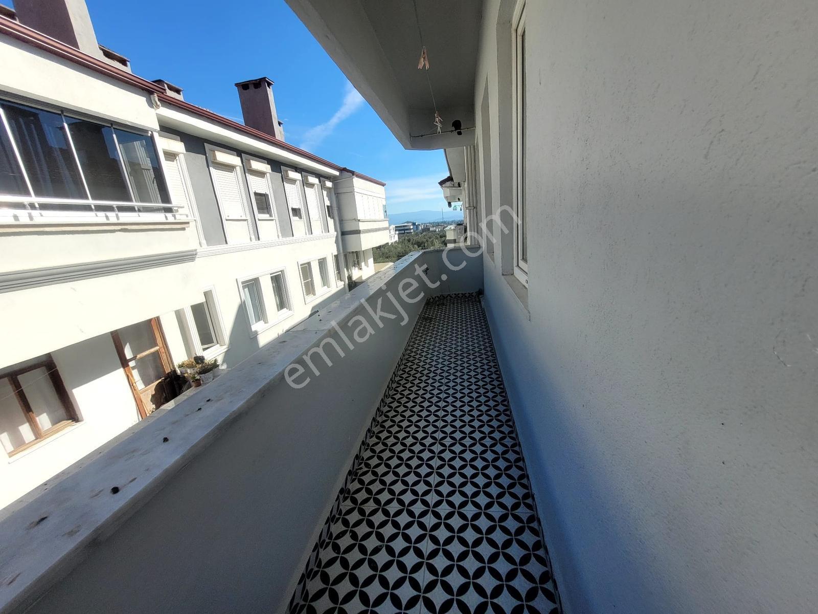 Edremit Zeytinli Köyü'nde Eşyalı Masrafsız Satılık 2+1 Daire — fotoğraf 14