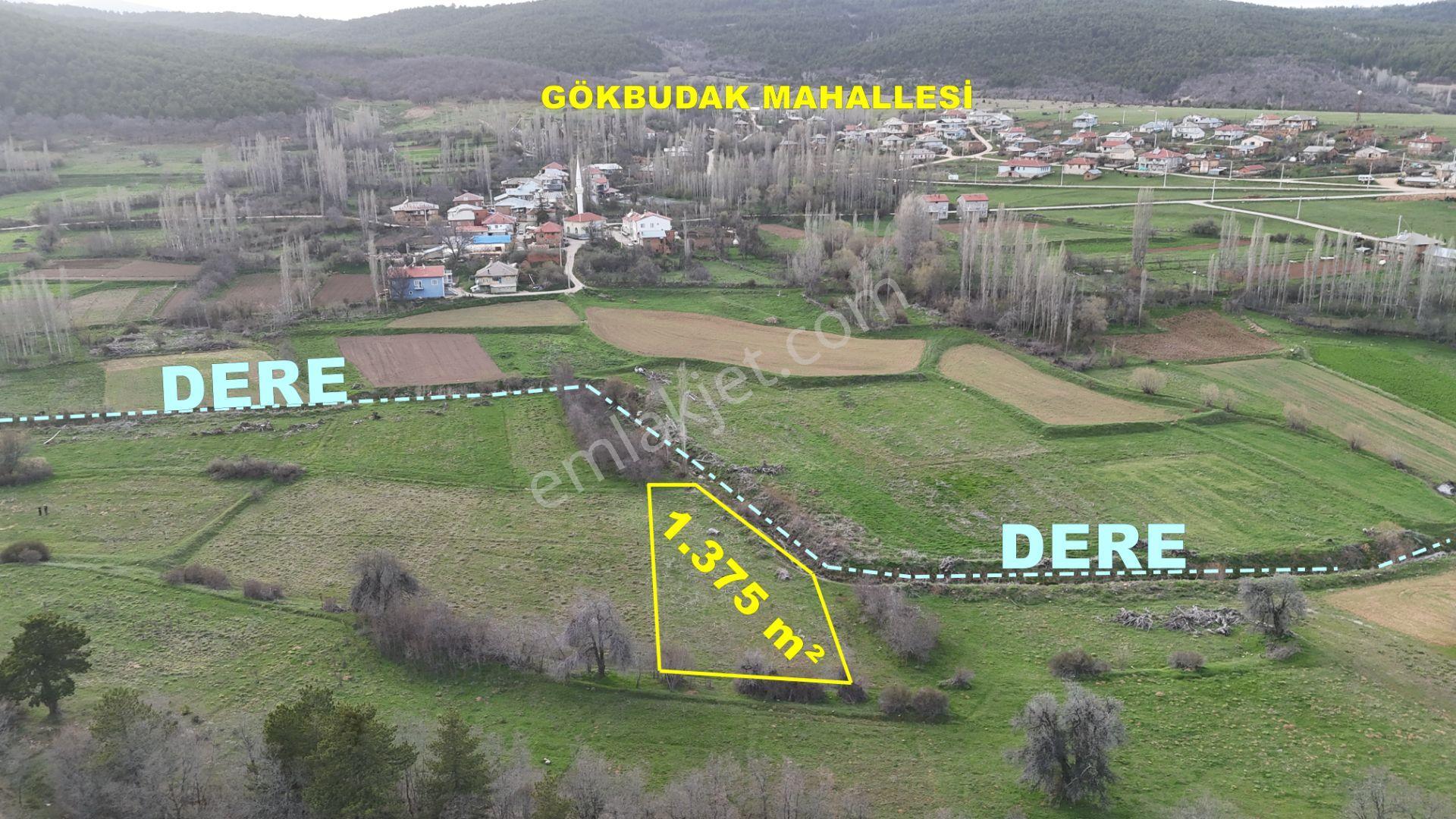 Ilgın Gökbudak'ta 1.375 M² Doğa Manzaralı Satılık Tarla — fotoğraf 2