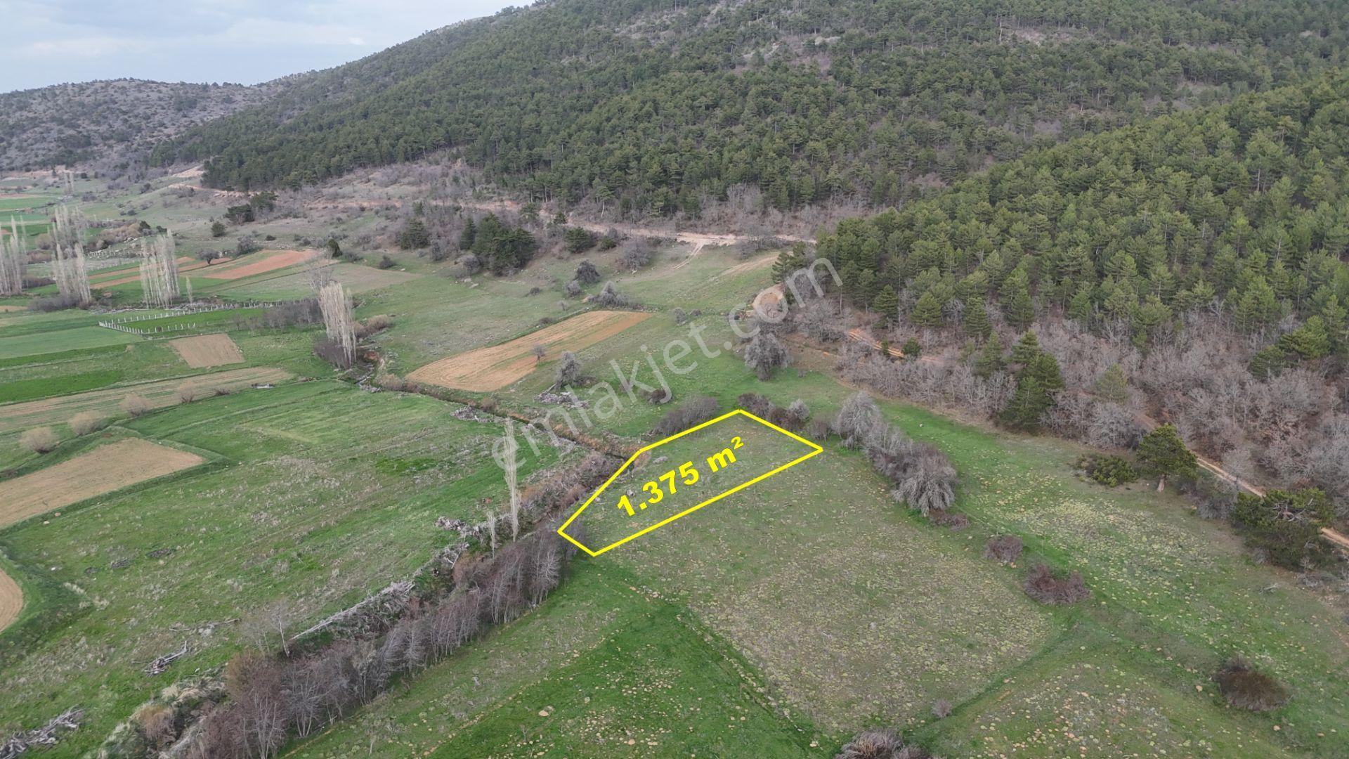 Ilgın Gökbudak'ta 1.375 M² Doğa Manzaralı Satılık Tarla — fotoğraf 3
