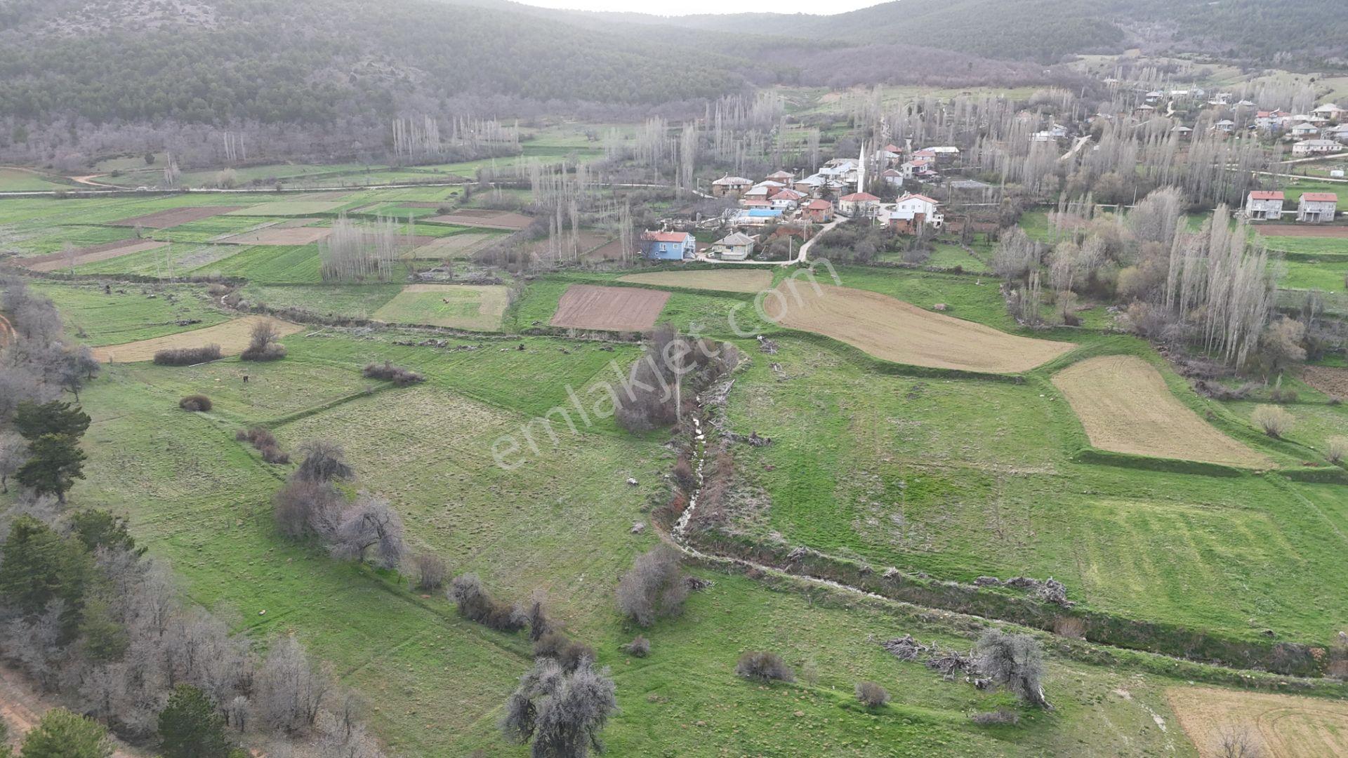 Ilgın Gökbudak'ta 1.375 M² Doğa Manzaralı Satılık Tarla — fotoğraf 5