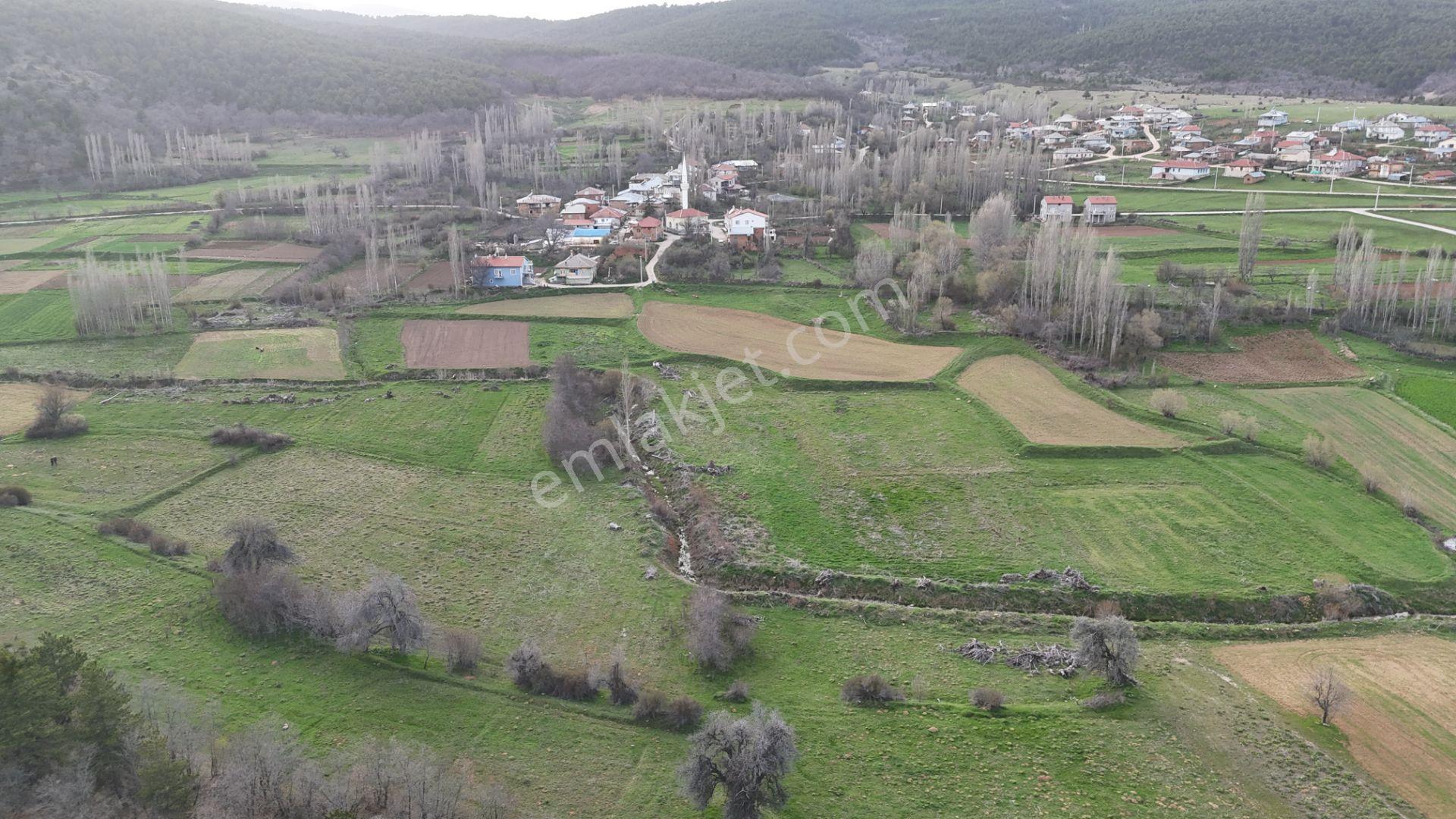 Ilgın Gökbudak'ta 1.375 M² Doğa Manzaralı Satılık Tarla — fotoğraf 6