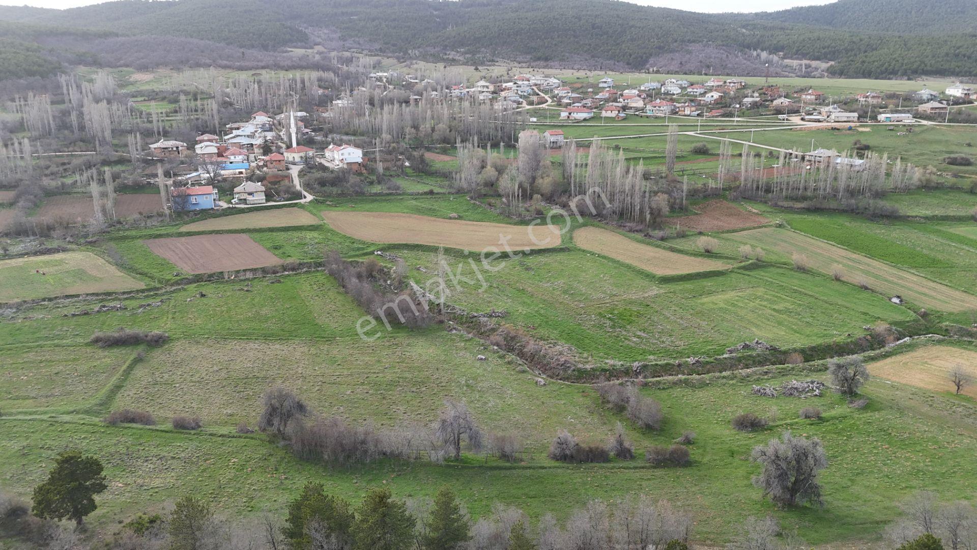 Ilgın Gökbudak'ta 1.375 M² Doğa Manzaralı Satılık Tarla — fotoğraf 7